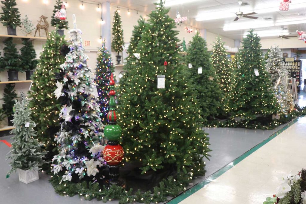 Christmas Louisiana Nursery