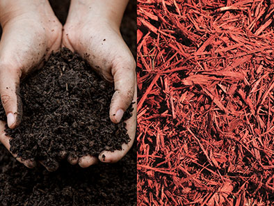 Soil and Mulch